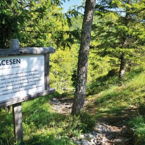 Golte-04-visitsaleska