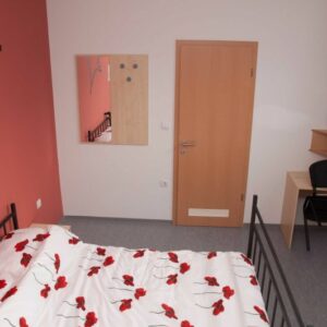 MLADINSKI HOTEL VE dvoposteljna_soba_s_kopalnico