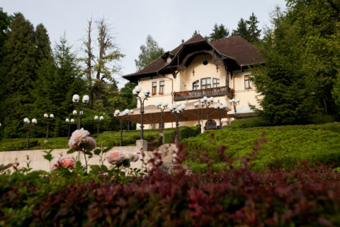 Javno zbiranje ponudb: Postanite najemnik Vile Herberstein