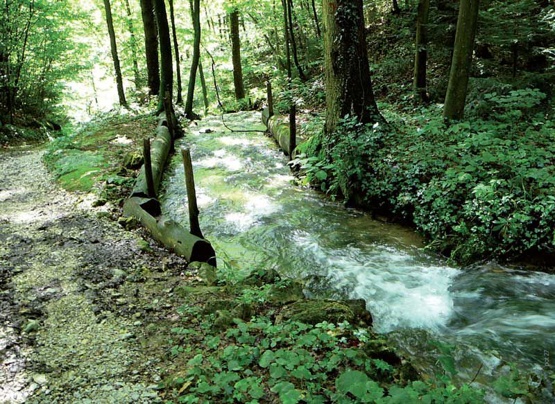 Bevče – Loka pri Dobrni – dolina mlinov – Prelska