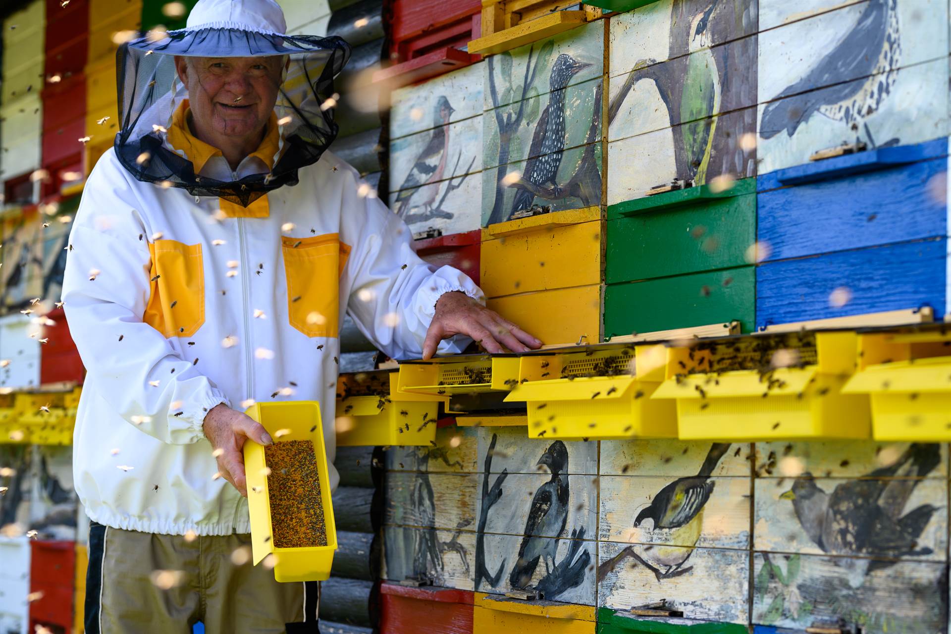 Čebelarstvo Čanč zlato na mednarodnem tekmovanju v New Yorku