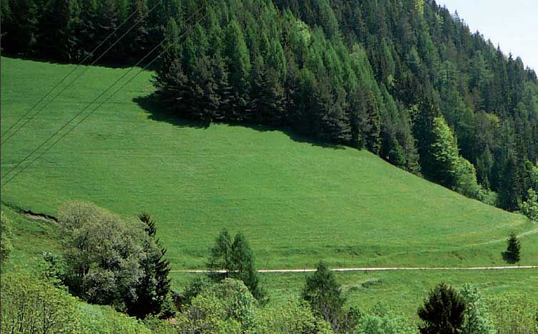 Gaberke – Zgornji Razbor – Sleme – Topolšica