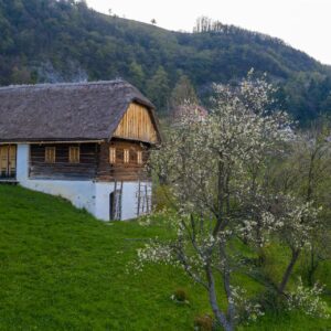 Grilova-domacija-01-visitsaleska