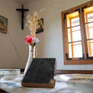Grilova-domacija-08-visitsaleska