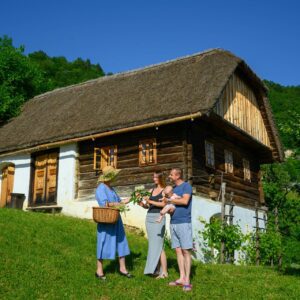 Grilova-domacija-12-visitsaleska