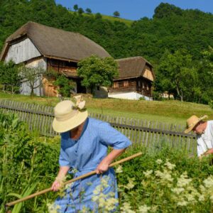 Grilova-domacija-13-visitsaleska