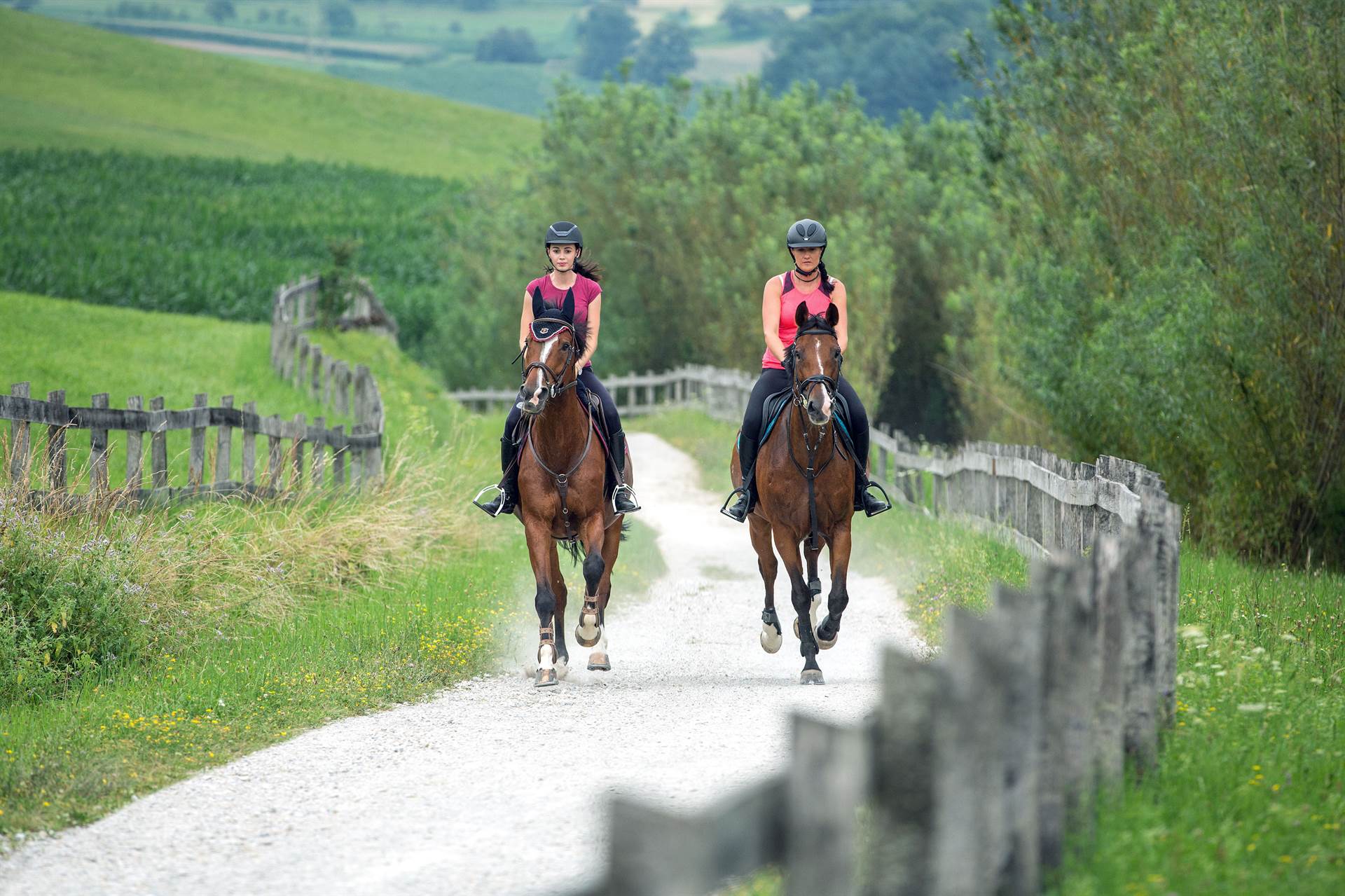 A wanderer’s tour for schoolchildren and their parents