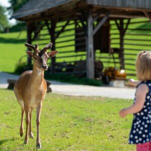 Lampercek-12-visitsaleska