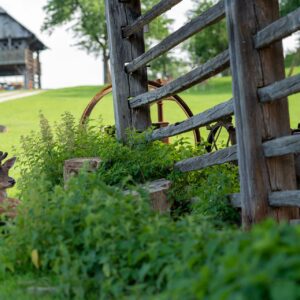 Lampercek-16-visitsaleska