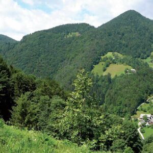 Loke – Paški Kozjak – Dolič