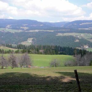 Paški Kozjak – Firer – Dolič