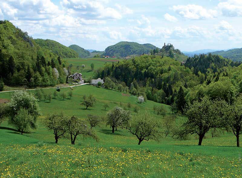 Castello di Šalek– Lipje – Hudičev graben – Brdce – Paški Kozjak