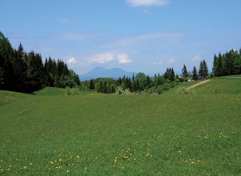 Šaleški grad – Tuš – Paški Kozjak – Dolič – Graška Gora – Šenbric