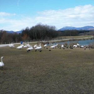 Sopota – Plešivec – Gaberke
