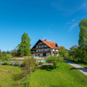 Turisticna-kmetija-Apat-03-visitsaleska
