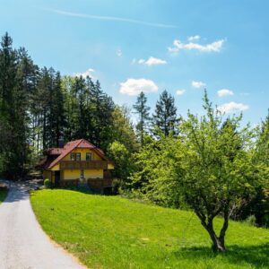 Turisticna-kmetija-Apat-09-visitsaleska