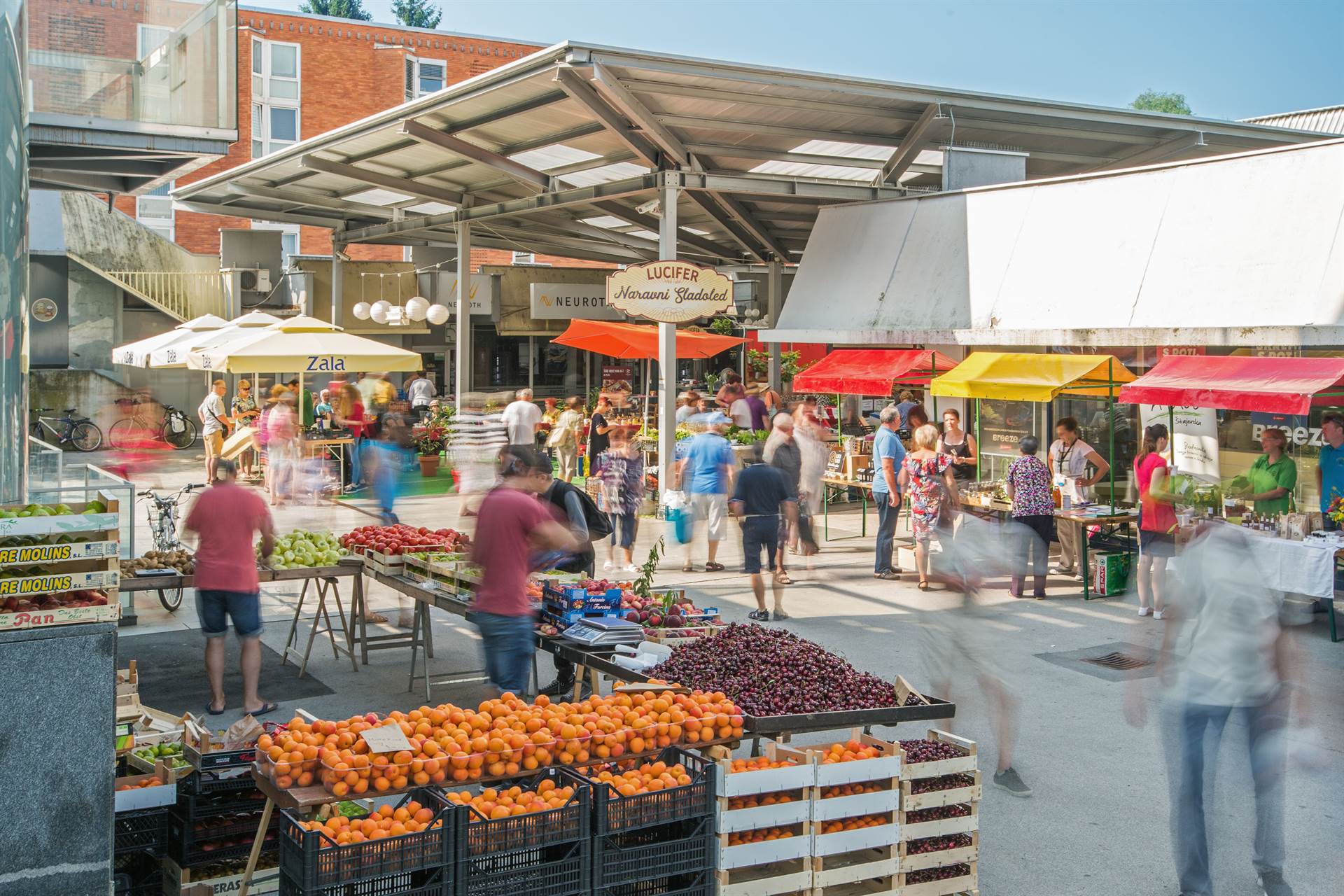 E-tržnica: Ponudba hrane lokalnih kmetij