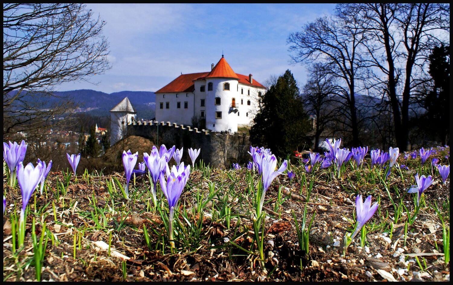 The Velenje Castle