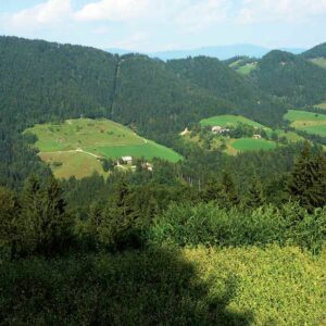Velunjski graben – Forhtenek – Žabja vas