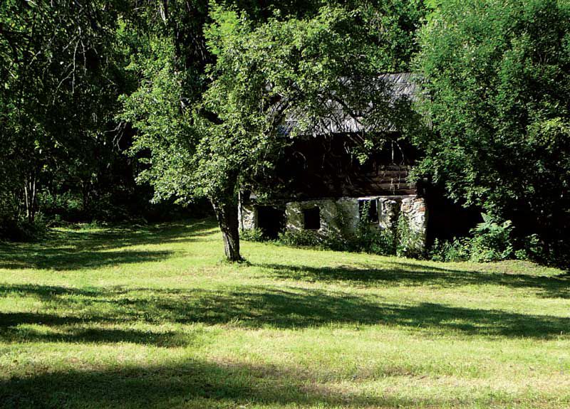 Velunjski graben – Rihter – Zgornji Razbor – Kavčnik – Strmina – Lajše