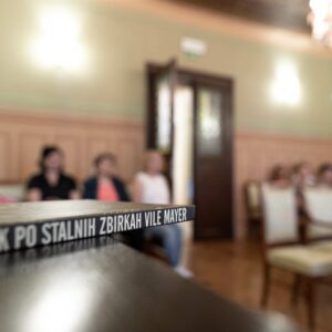 Vila-Mayer-16-visitsaleska