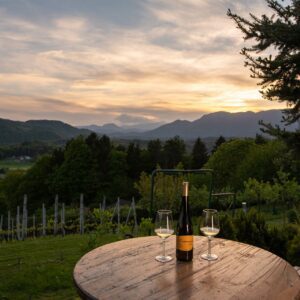 Ples, vino in kulinarika