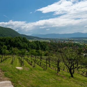 Vinarji-SoP-15-visitsaleska