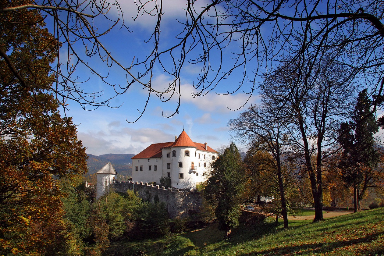 Odprtje razstave »(Ne)znanci naše doline: portretne fotografije iz Zgornje Savinjske doline fotografa Volbenka Pajka«, muzejski odmevi, mednarodni dan turističnih vodnikov ter srečanje mladih muzealcev