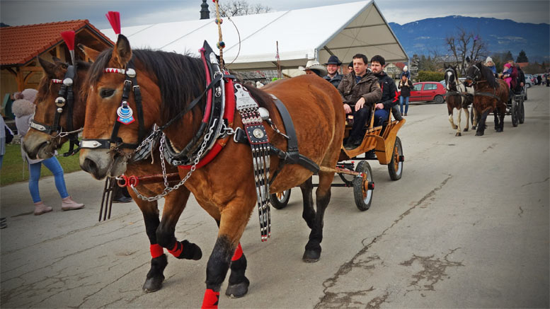 Blagoslov konj v Šmartnem ob Paki