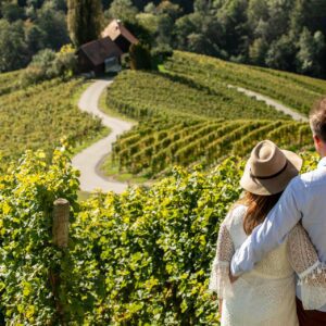 srce_med_vinogradi_vinska_cesta_Spicnik_Maribor_Pohorje_Slovenija_Slovenia_Vid_Ponikvar_02