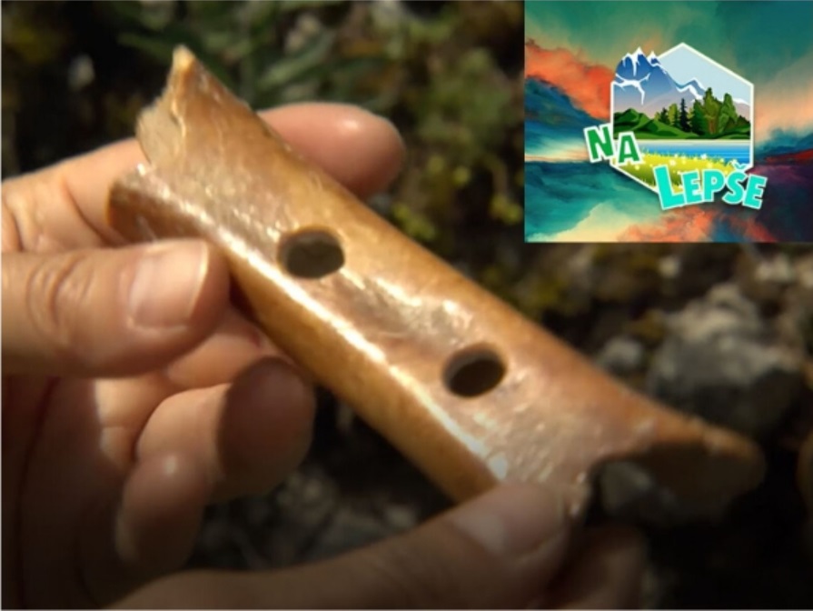 Predstavitev kampanje »Zdaj je čas. Moja Slovenija« v oddaji Na lepše