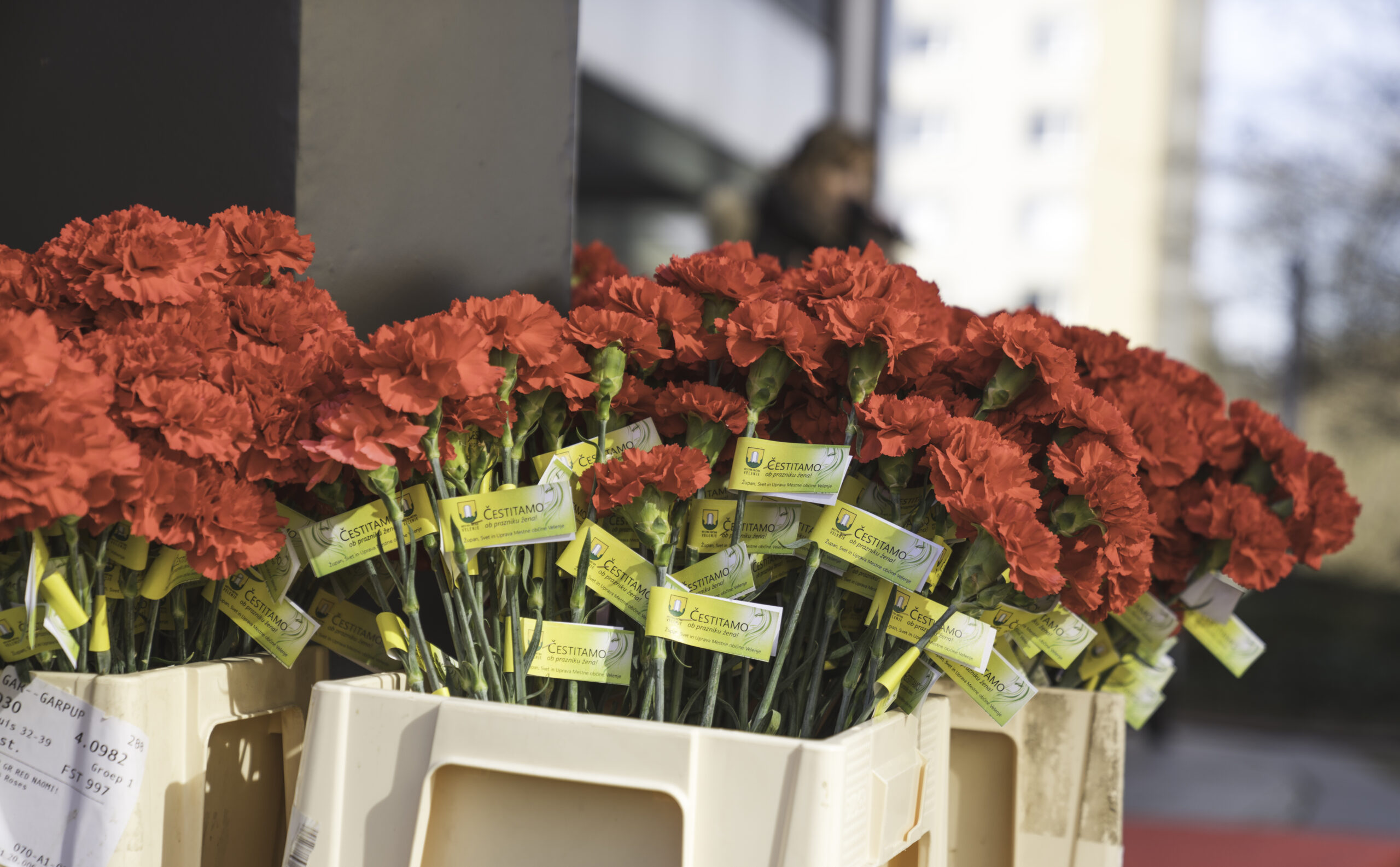 Ugodnosti za dame ob dnevu žena