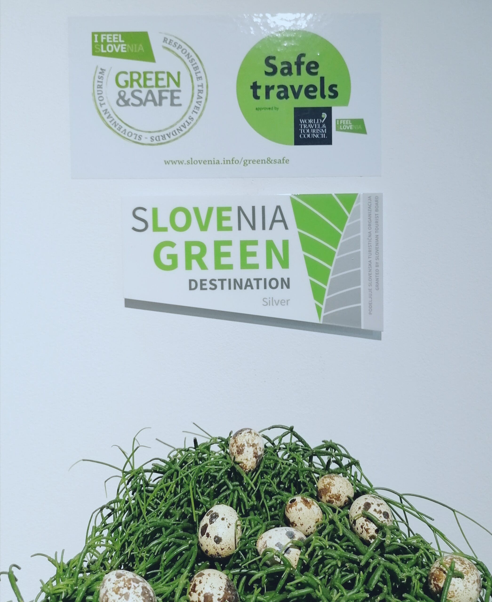 OB MEDNARODNEM DNEVU GOZDOV IN SVETOVNEM DNEVU VODA ZAVEZA ŠALEŠKE DOLINE K ZELENEMU IN VARNEMU TURIZMU