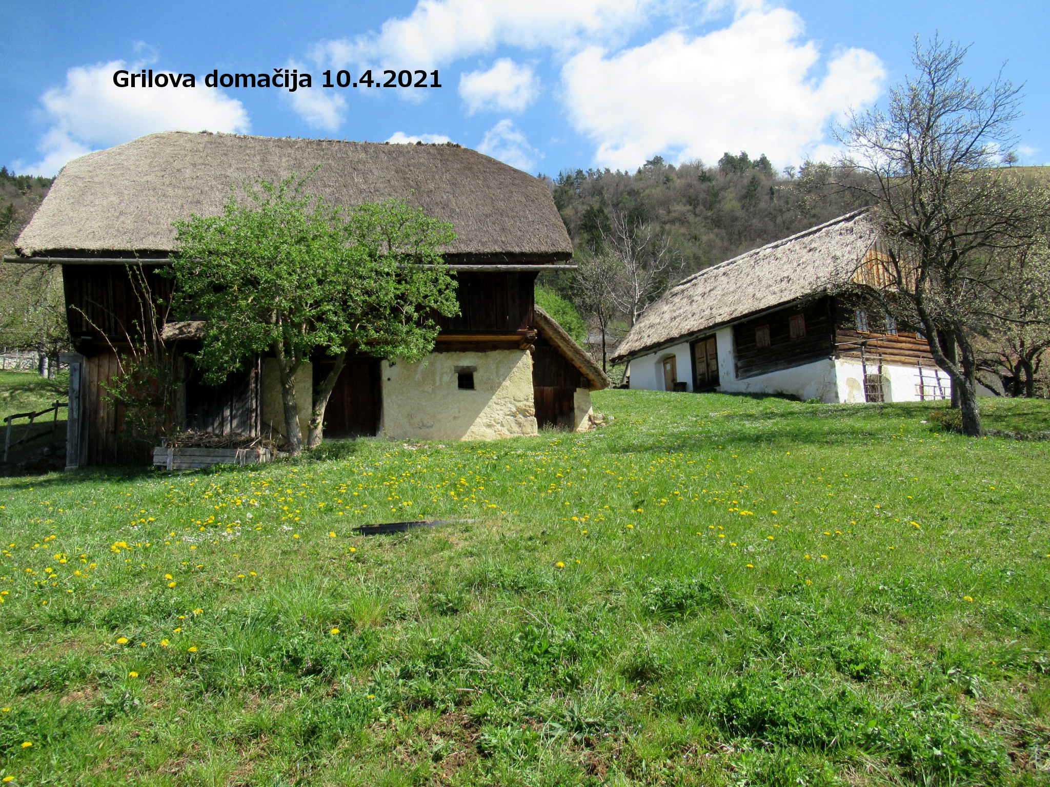 Društvo zeliščarjev Velenje uredilo vrt pri Grilovi domačiji