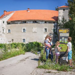 Pozojeva grajska pot