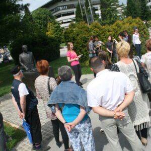 Organizirana vodenja za skupine