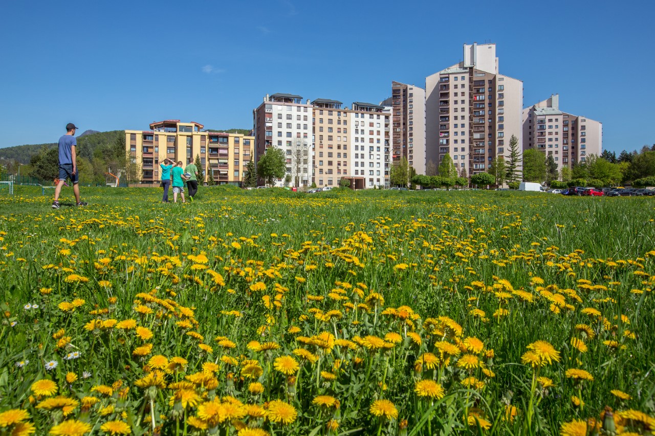 Z Velenjem praznovala tudi partnerska in prijateljska mesta