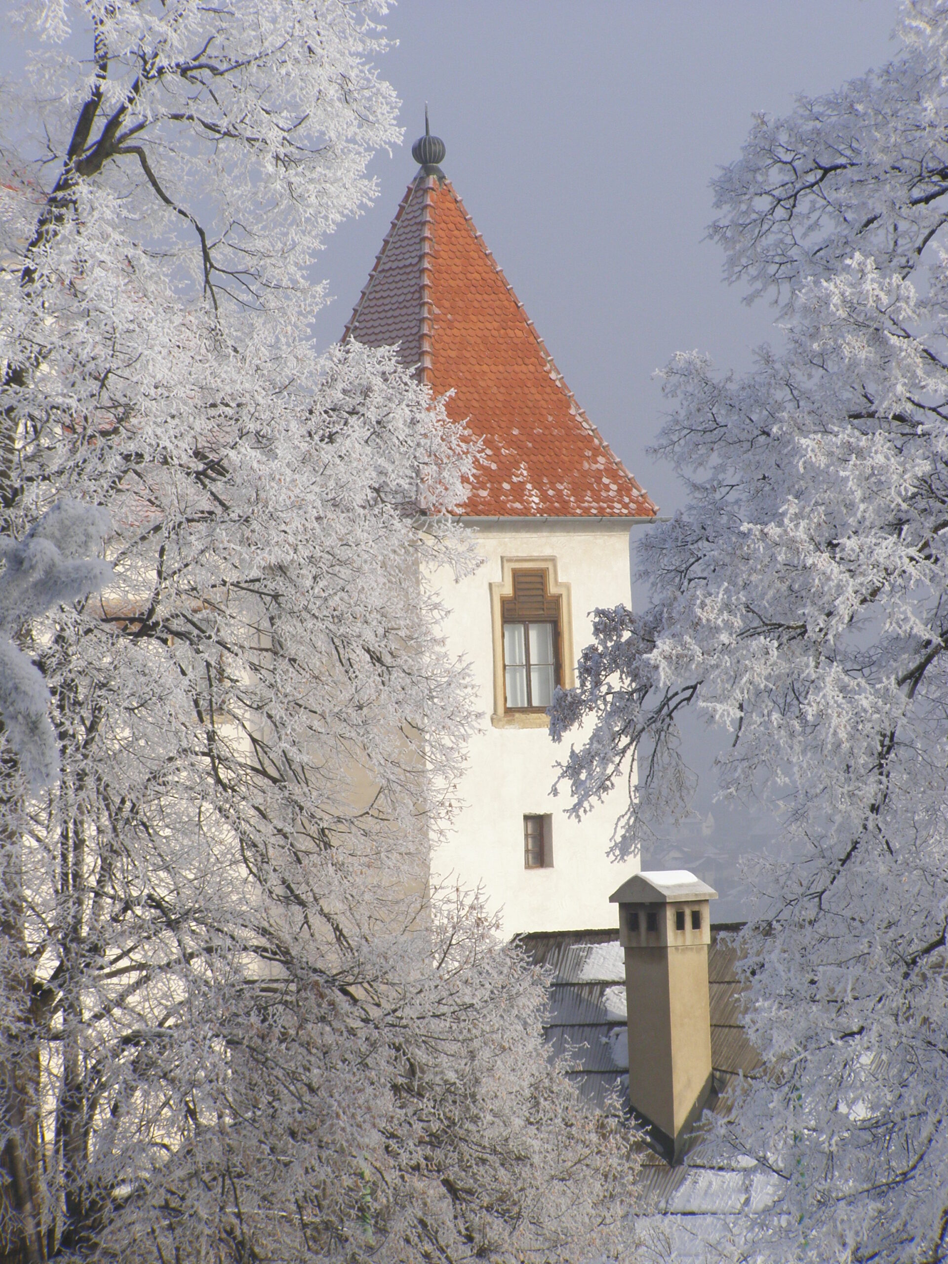 Ali ste vedeli ... VELENJSKI GRAD