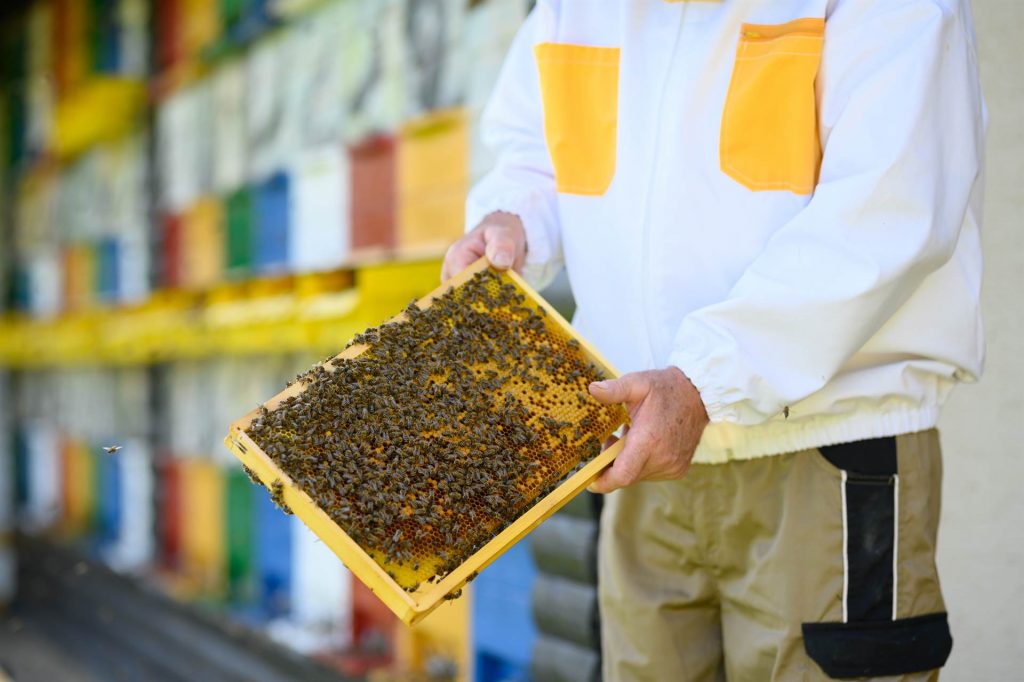 Ali ste vedeli.... ČEBELARSTVO ČANČ