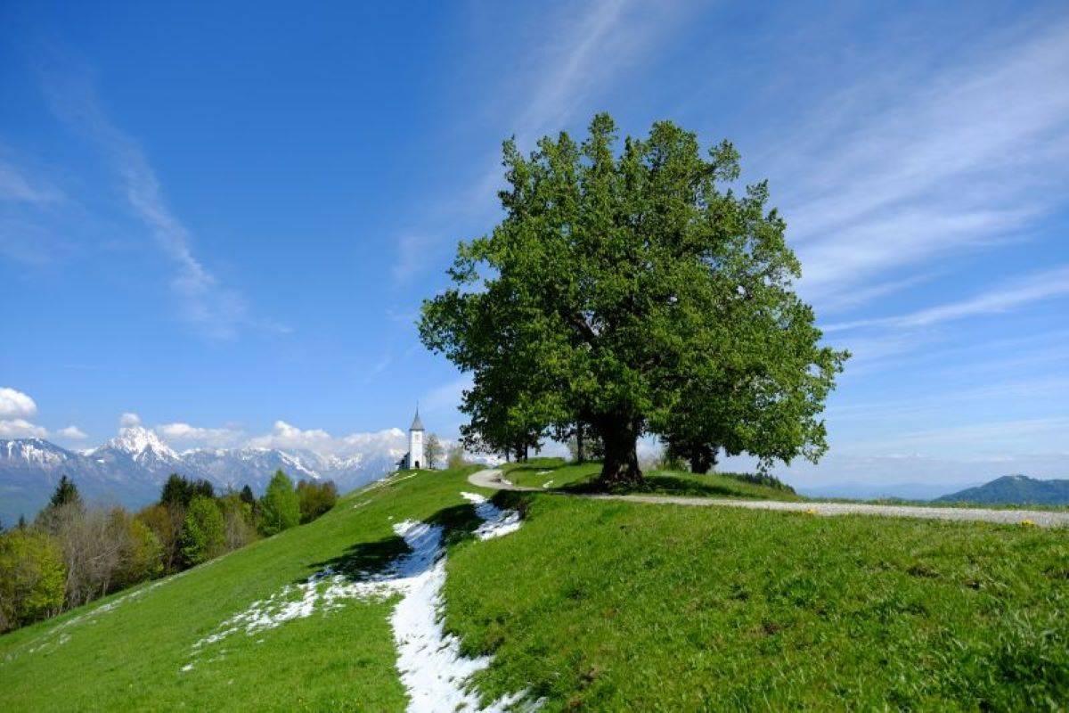Turistična zveza Slovenije v pomlad z novima razpisoma