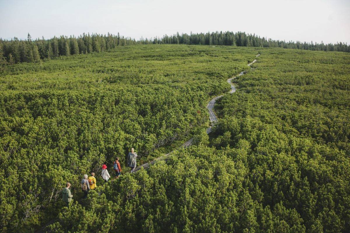 Javni razpis za sofinanciranje aktivnosti promocije turistične ponudbe vodilnih turističnih destinacij v Sloveniji v letu 2022