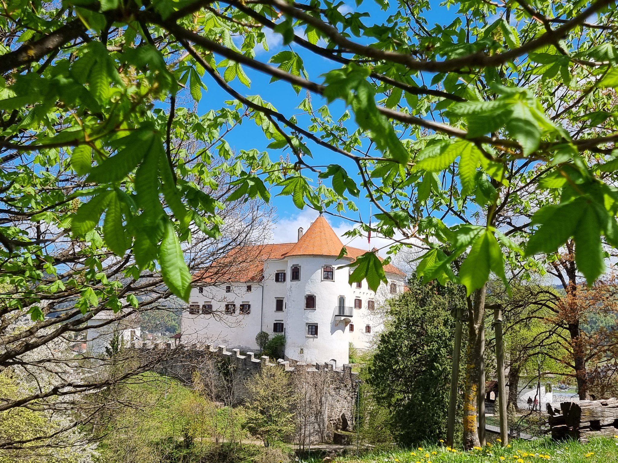 velenjski grad