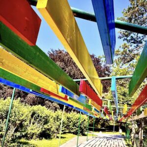 Kam ta teden v Šaleški dolini?