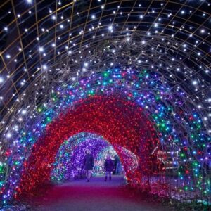 Božična bajka Slovenije 2023