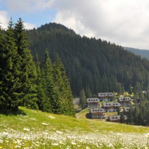 apartmaji-golte-1