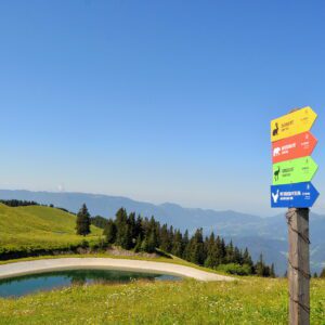 apartmaji-golte-okolica (3)