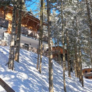 apartmaji-golte-okolica (7)