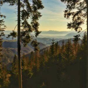 Kam ta teden v Šaleški dolini?