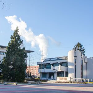 Popestrite si dan z obiskom muzeja ali galerije