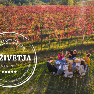 Edinstvena Slovenija - moderiran pogovor s ponudniki doživetij in predstavitev poziva edinstvenih doživetij Slovenije za leto 2023